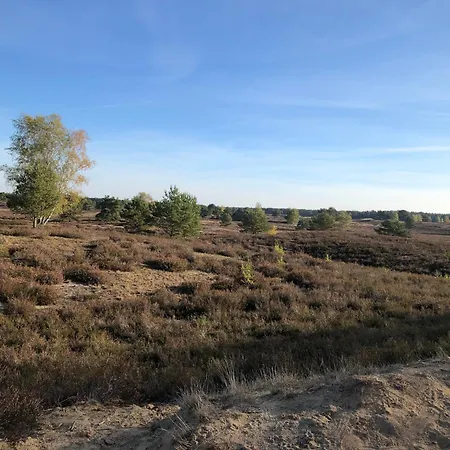 Jagdstube *