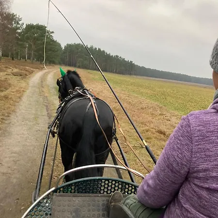 Jagdstube Prezelle