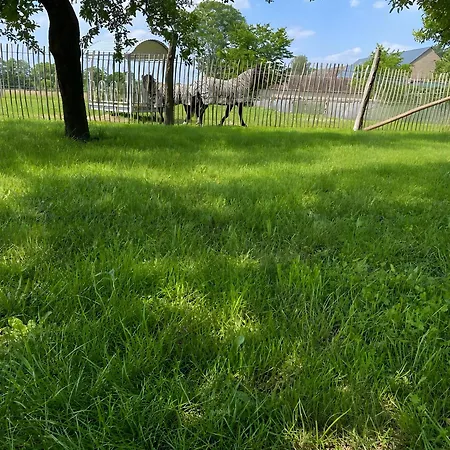 Jagdstube * Prezelle